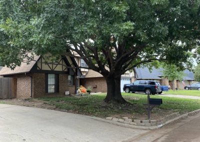 Tree Removal Service Edmond OK1