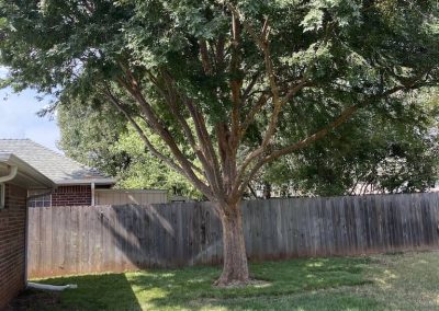 Tree Removal Service Edmond OK2